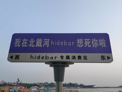 -北戴河碧螺塔海上酒吧公园