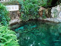-蝴蝶泉公园
