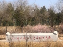 -十三陵水库