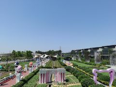 -百万葵园