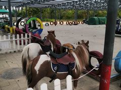 -渔岛海洋度假区