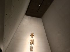 -秦始皇帝陵博物院(兵马俑)