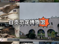 -自贡恐龙博物馆