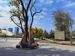 -云溪植物园