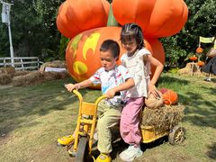 -HERRE·FARM 赫尔露营农场·团建聚会包场