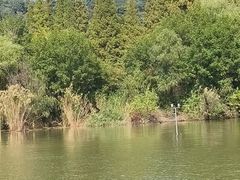 -焦山景区-万佛塔