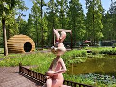 -黄海国家森林公园