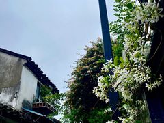 -暮晚尘香汉服旗袍