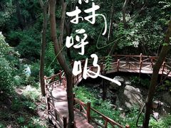 -大岭沟猕猴桃谷风景区