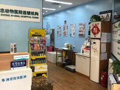 -瑞派·关忠动物医院·异宠专科·犬猫肿瘤·皮肤专科(望京店)