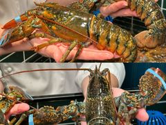 -雍容荟帝王蟹活龙虾展台自助(IFS黑金店)