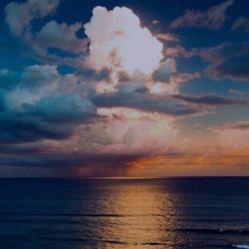 -薇兰专业脱毛连锁机构