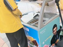-维尔纳斯·生日蛋糕动物奶油冰淇淋蛋糕(人大店)