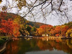 -九龙潭景区