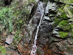 -素山寺森林公园