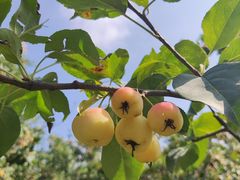 -元大都城垣遗址公园