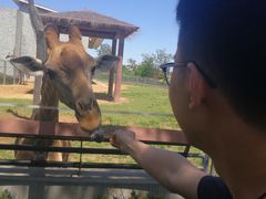 -石家庄市动物园