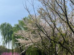 -白塘生态植物园