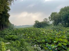 -云龙湖旅游景区