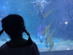 -常州海昌海洋探索馆
