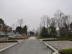 -铁山坪森林公园