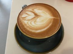 -飞行喵MR PILOT|猫舍·猫咖(静安大融城店)