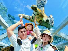 -西霞口神雕山野生动物世界