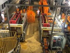 -百年义利(北兴路店)