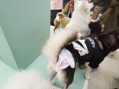 -怪兽屋·羊驼·猫咖·狗咖(俊华广场店)