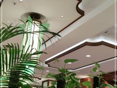 -蝶园·装修中(BFC外滩金融中心店)