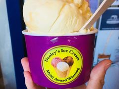 -Dooley's Premium Ice Cream