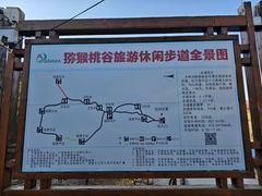 -大岭沟猕猴桃谷风景区