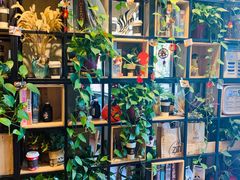 -ZING COFFEE 镜咖啡