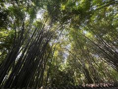 -成都杜甫草堂博物馆