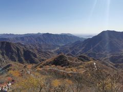 -大岭沟猕猴桃谷风景区
