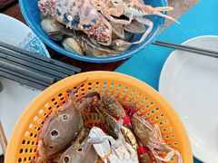 -渔家火锅·海鲜自助餐·演艺(亚龙湾天域酒店)