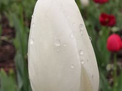 -长春公园(普阳街道)