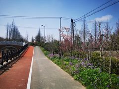 -上海长兴岛郊野公园