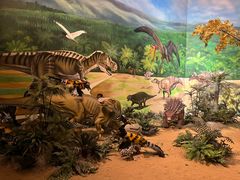 -安徽省地质博物馆