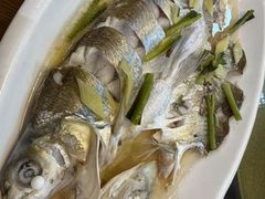 -观桥阁(锦溪店)