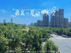 大堂-鸽子侯·家宴·平价海鲜(绿地店)