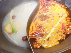 -阳阳老火锅(小南门店)