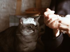 -平行世界·猫咖(首经贸店)