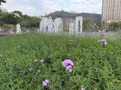 -龙环葡韵住宅式博物馆