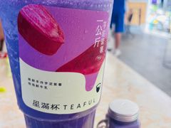 -星满杯TEAFUL(罗湖东门店)