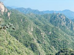 -大岭沟猕猴桃谷风景区