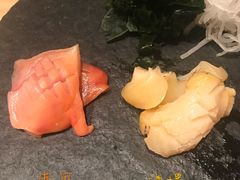 海螺-橼舍鮨青木