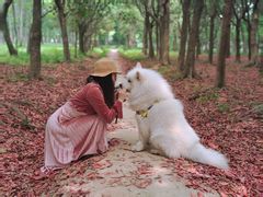 -蜀冈西峰生态公园