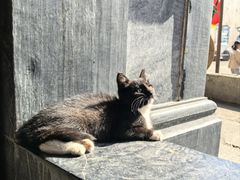 -潜口民宅博物馆