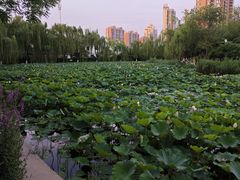 -南翠屏公园